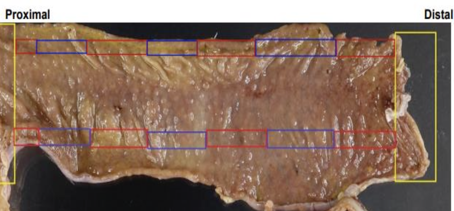 Description of image
